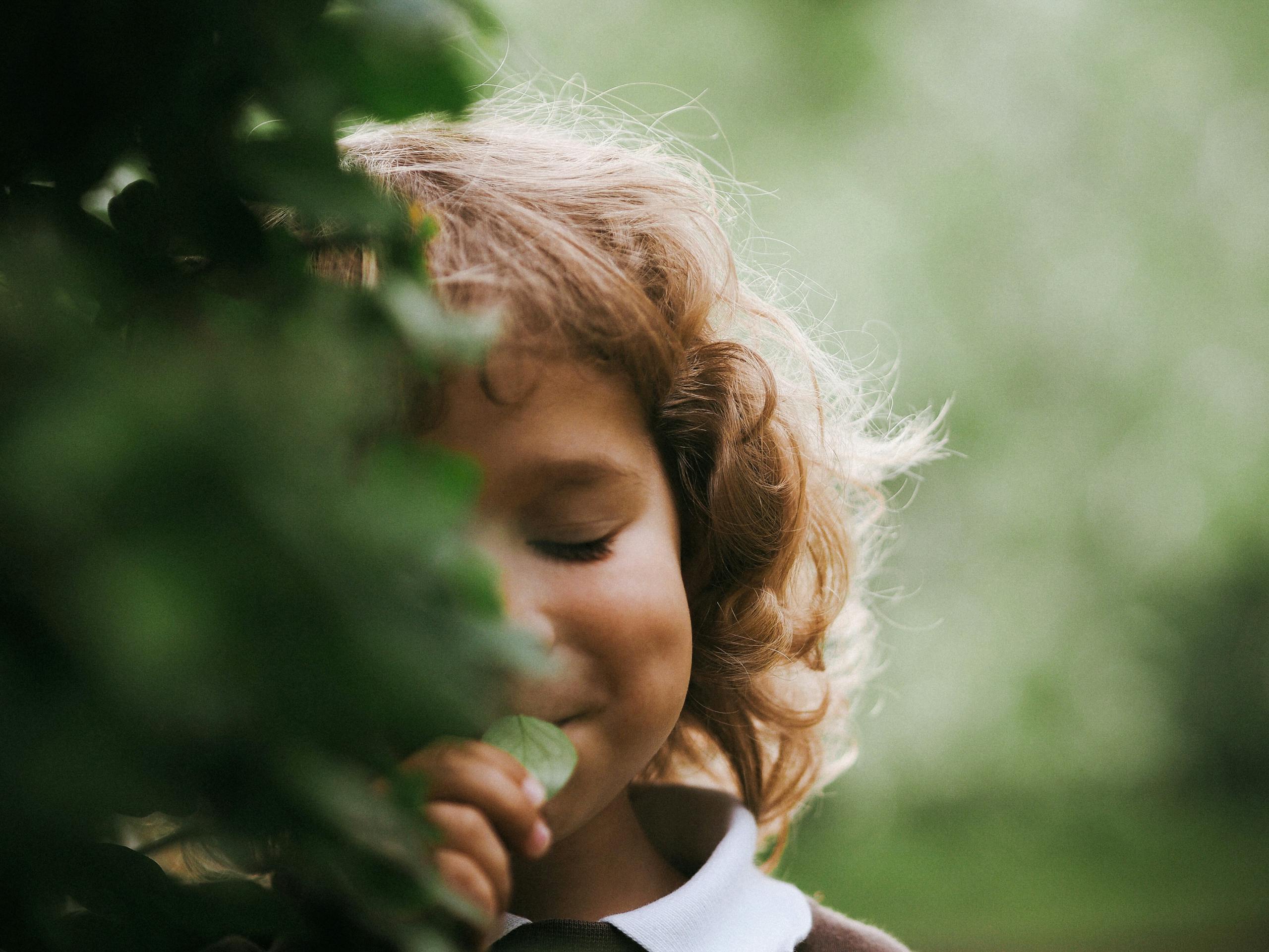 A cute child with curly hair enjoys a quiet moment with nature in Stockholm.